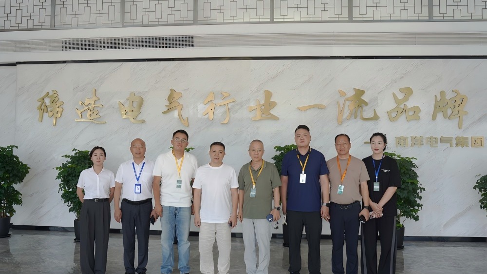 南洋電氣集團(tuán)與樂(lè)清新能源專家團(tuán)共探技術(shù)賦能新路徑